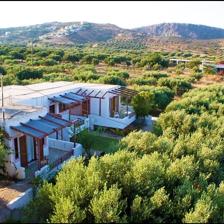Apartmán Voula'S Casa Di Mare Palekastro Exteriér fotografie