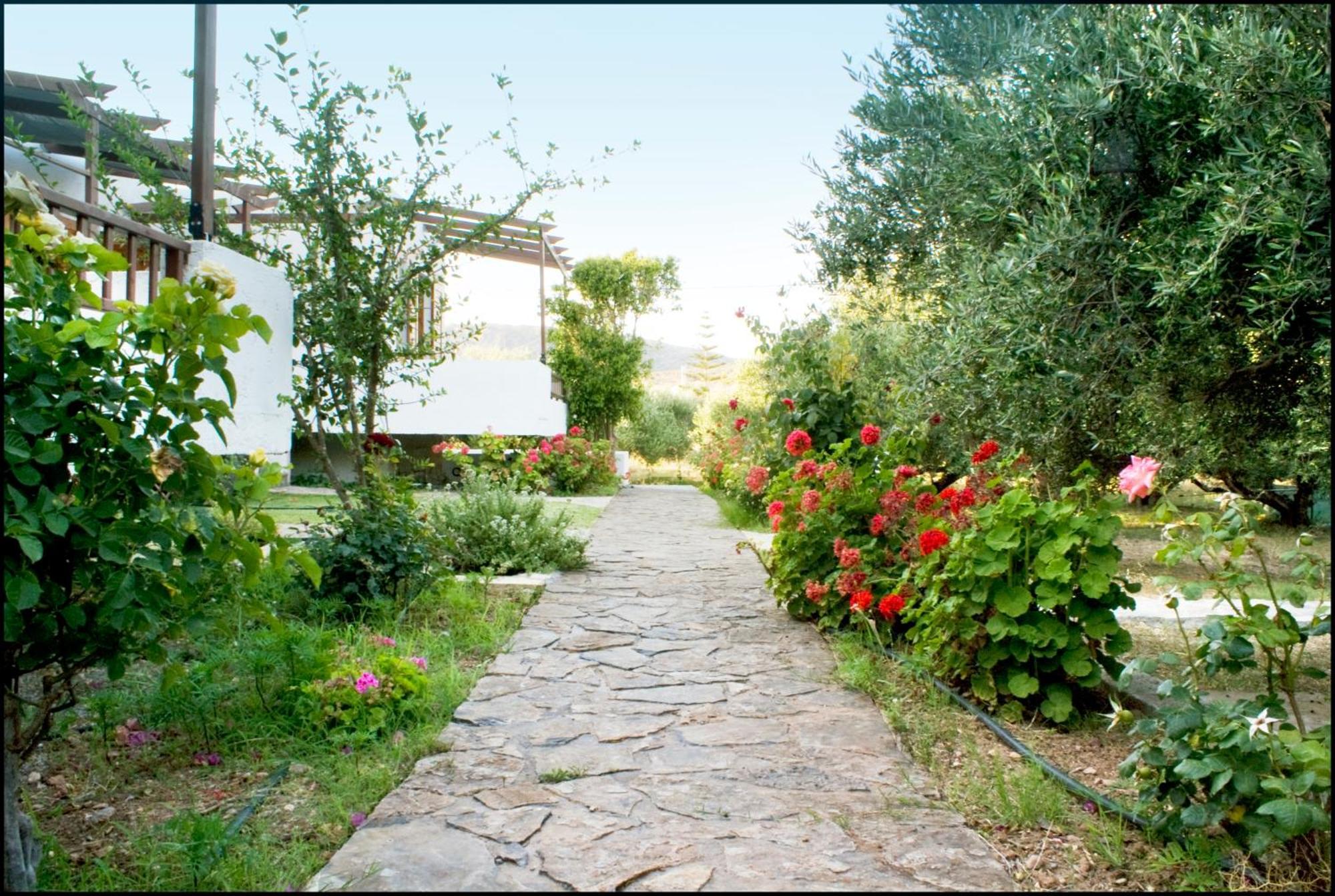 Apartmán Voula'S Casa Di Mare Palekastro Exteriér fotografie