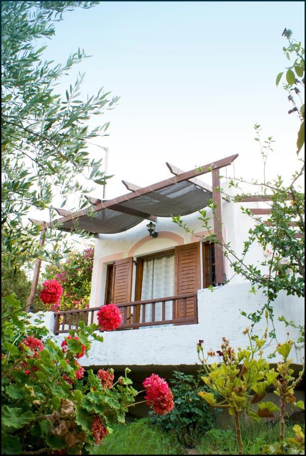 Apartmán Voula'S Casa Di Mare Palekastro Pokoj fotografie